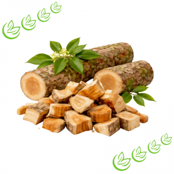 Äth. Kampferöl 100 ml